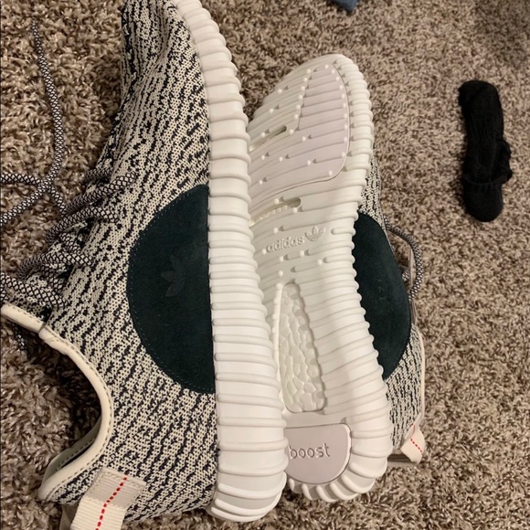Yeezy 350 boost turtle doves size 12 - Picture 2 of 3